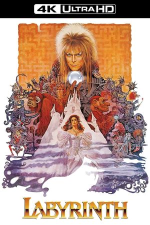 Labyrinth's poster