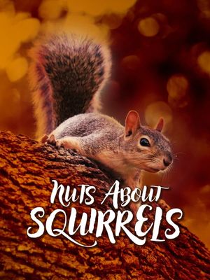 Nuts About Squirrels's poster