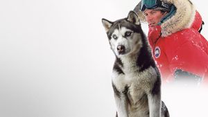 Eight Below's poster