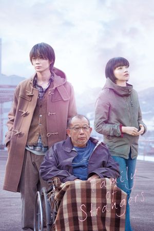Family of Strangers's poster