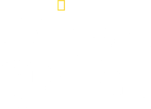Orca vs. Great White's poster