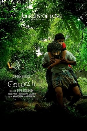 Mynaa's poster