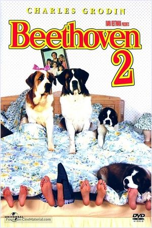 Beethoven's 2nd's poster