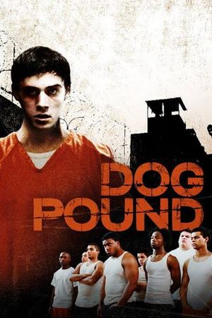 Dog Pound's poster