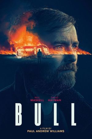Bull's poster
