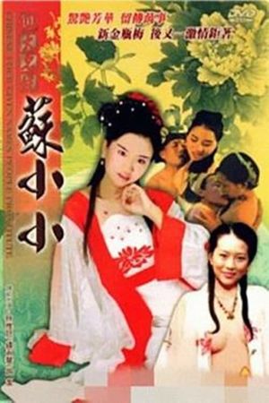 Si daming ji zhi Su Xiaoxiao's poster