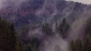 Twin Peaks: Visual Soundtrack's poster