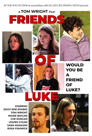 Friends of Luke's poster image