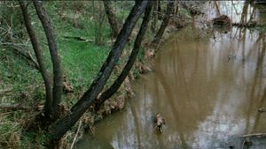 The Legend of Boggy Creek's poster