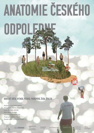 Anatomy of a Czech Afternoon's poster