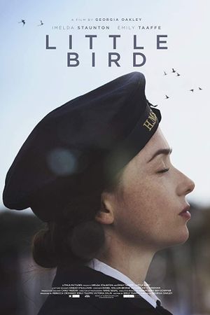 Little Bird's poster