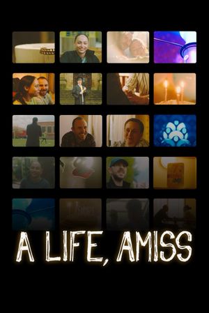 A Life, Amiss's poster