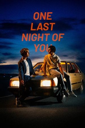 One Last Night of You's poster