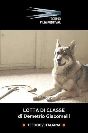 Lotta di Classe - Il cinema dei ragazzi di Emilio Sidoti's poster