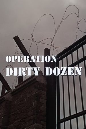 Operation Dirty Dozen's poster