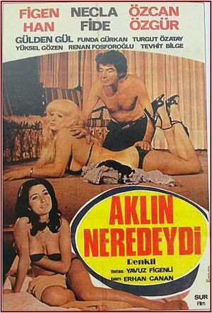 Aklin Neredeydi's poster