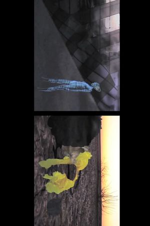 A Wilderness of Elsewheres. Colony 1.'s poster