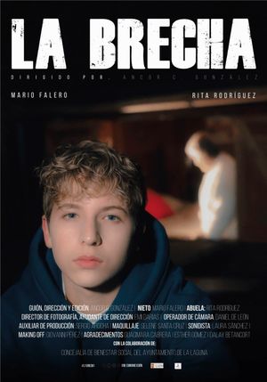 La Brecha's poster