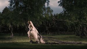Melancholia's poster
