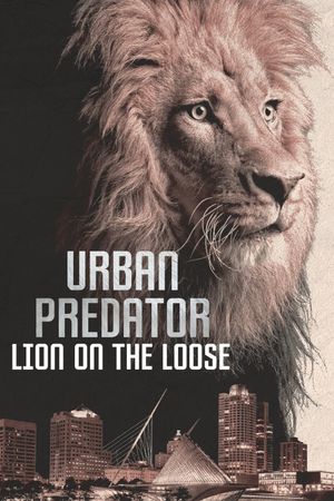 Urban Predator: Lion on the Loose's poster