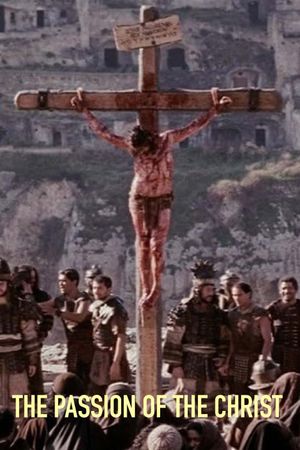 The Passion of the Christ's poster