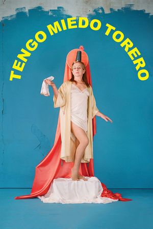 My Tender Matador's poster