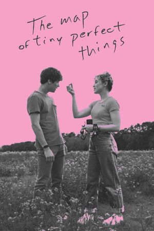 The Map of Tiny Perfect Things's poster