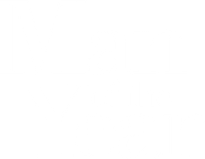 Man of the Year's poster