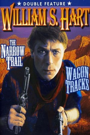 The Narrow Trail's poster