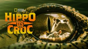 Hippo vs Croc's poster