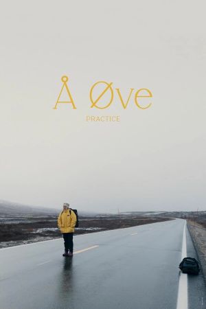 Practice's poster