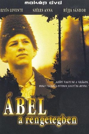 Ábel a rengetegben's poster