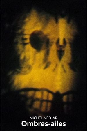 Ombres-ailes's poster