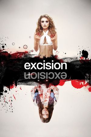 Excision's poster image