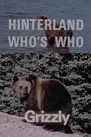 Hinterland Who's Who: Grizzly's poster