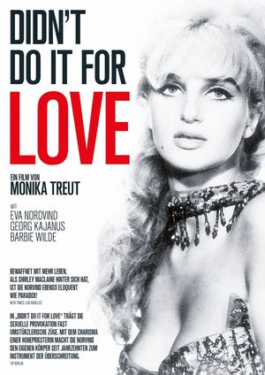 Didn't Do It for Love's poster