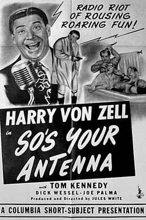 So's Your Antenna's poster