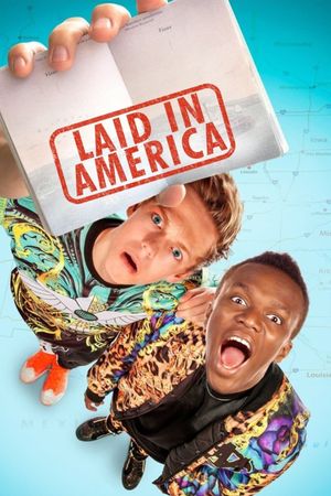 Laid in America's poster