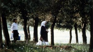 Through the Olive Trees's poster