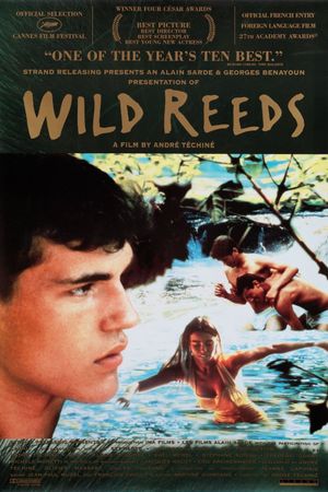 Wild Reeds's poster