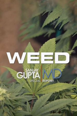 Weed: A Dr. Sanjay Gupta Special's poster