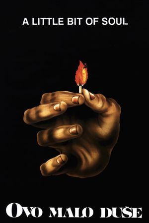 A Little Bit of Soul's poster