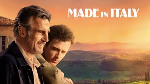 Made in Italy's poster