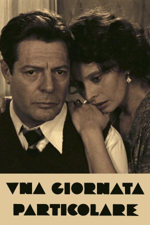A Special Day's poster