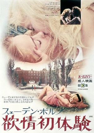 Desire First Sex Experience's poster