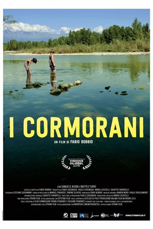 The Cormorants's poster