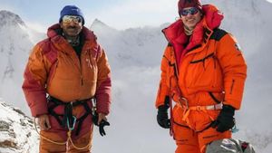 Sadpara The Mountaineer's poster