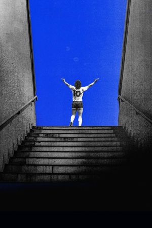 Diego: The Last Goodbye's poster