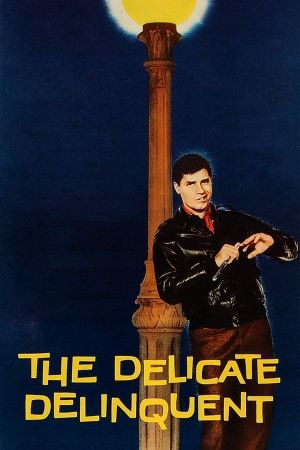 The Delicate Delinquent's poster