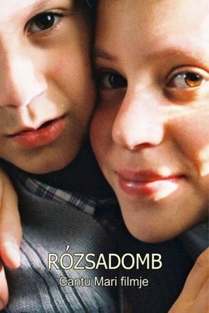 Rózsadomb's poster